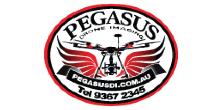 PegasusDI_part_250px